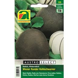 AUSTROSAAT Rettich Wiener Runder Kohlschwarzer