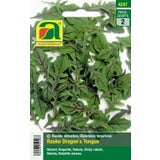 AUSTROSAAT Rucola "Dragon´s Tongue"