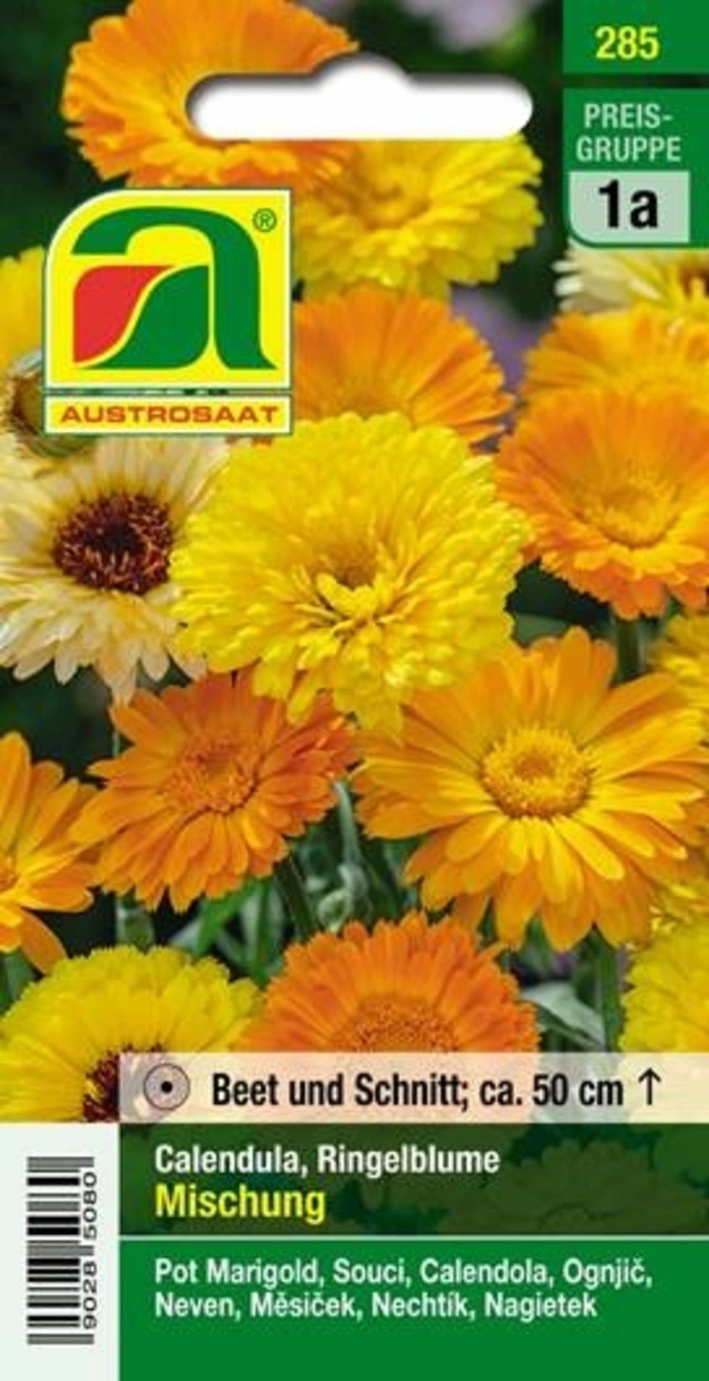 Ringelblume Mischung 