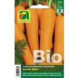 AUSTROSAAT Bio Möhre "Flakkese 2"