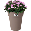elho green basics top planter hoch 35 cm - taupe
