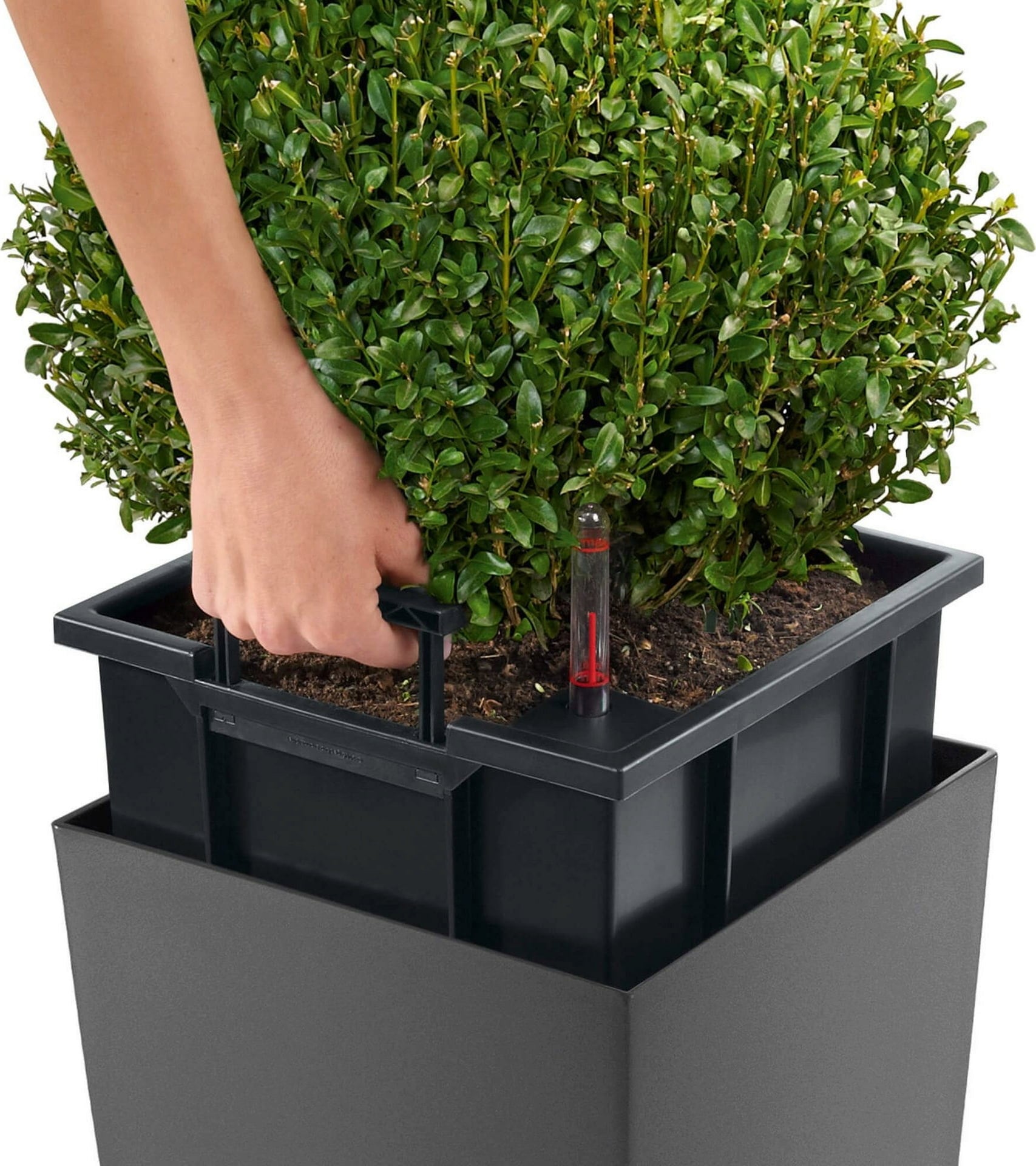 Lechuza Pflanzgefäß CUBICO Premium 50