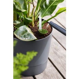 elho greensense aqua care rund 43 cm - holzkohlengrau