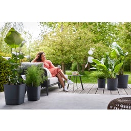 elho greensense aqua care rund 43 cm - holzkohlengrau