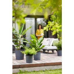 elho greensense aqua care rund 43 cm - holzkohlengrau