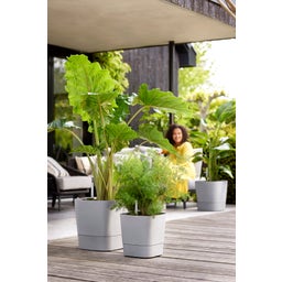 elho greensense aqua care quadrat 30 cm - light beton