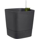 elho greensense aqua care quadrat 38 cm - holzkohlengrau