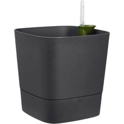 elho greensense aqua care quadrat 38 cm - holzkohlengrau