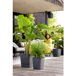 elho greensense aqua care quadrat 38 cm - holzkohlengrau