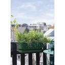 elho greenville easy balcony 52 cm - laubgrün