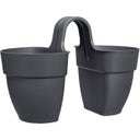 elho vibia campana flower twin 21 cm - anthrazit