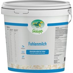 Galopp Fohlenmilch