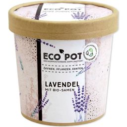 Feel Green ecopot "Lavendel"