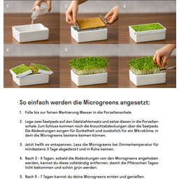 Heimgart Kohlrabi Rosa Microgreens Saatpad - 1 Stk