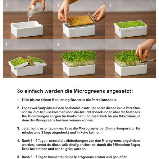 Heimgart Radieschen Rambo Microgreen Saatpad - 1 Stk