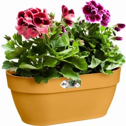 elho vibia campana wandampel 35 cm - honig gelb