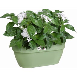 elho vibia campana wandampel 35 cm - pistazien grün