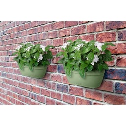 elho vibia campana wandampel 35 cm - pistazien grün