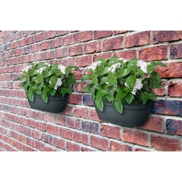 elho vibia campana wandampel 35 cm - anthrazit