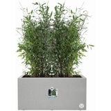 elho Pflanzkasten vivo next lang - 60 cm