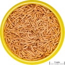JBL PRONOVO RED INSECT STICK S - 100ml