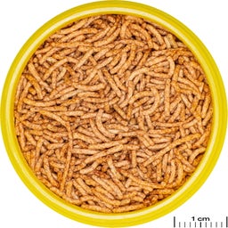 JBL PRONOVO RED INSECT STICK S - 100ml