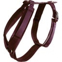 Kentucky Dogwear Hundegeschirr 