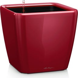 Lechuza Pflanzgefäß  QUADRO Premium LS 43 - Scarlet rot hochglanz