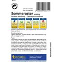 Kiepenkerl Sommeraster 