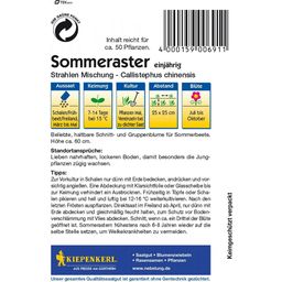 Kiepenkerl Sommeraster 