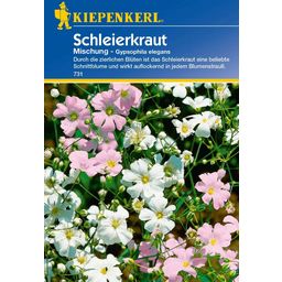 Kiepenkerl Schleierkraut-Mischung - 1 Pkg