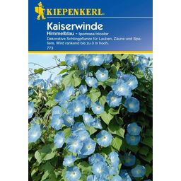 Kiepenkerl Himmelblaue Kaiserwinde - 1 Pkg