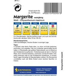 Kiepenkerl Weiße Margeriten - 1 Pkg