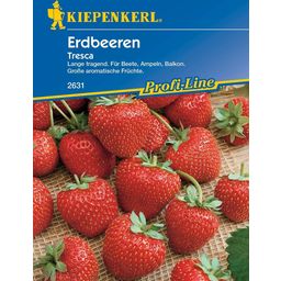 Kiepenkerl Erdbeeren "Fresca"