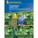 Kiepenkerl Vogelmiere - 1 Pkg