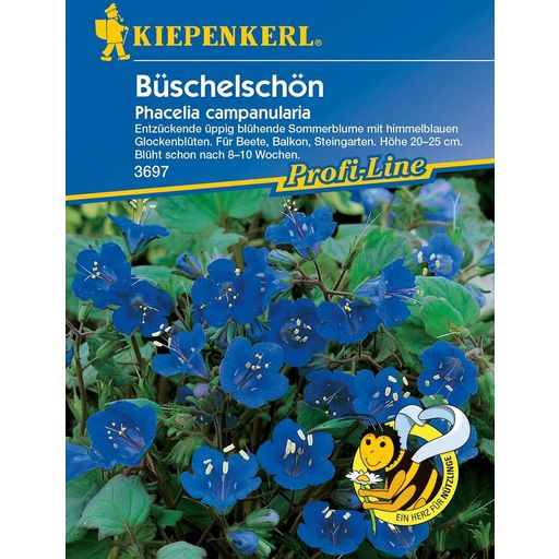 Kiepenkerl Büschelschön - 1 Pkg
