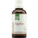 Alpensegen Agaricus, 50 ml