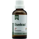 Life Light Alpensegen Eisenkraut - 50 ml
