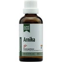 Life Light Alpensegen Arnika - 50 ml