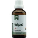 Life Light Alpensegen Galgant - 50 ml