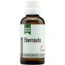 Alpensegen Eberraute, 50 ml