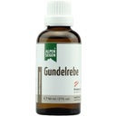 Life Light Alpensegen Gundelrebe - 50 ml