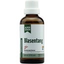 Life Light Alpensegen Blasentang - 50 ml
