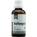 Alpensegen Breitwegerich, 50 ml