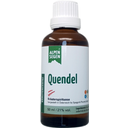 Life Light Alpensegen Quendel - 50 ml