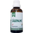 Life Light Alpensegen Sägepalme - 50 ml