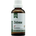 Life Light Alpensegen Zistrose - 50 ml