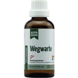 Life Light Alpensegen Wegwarte