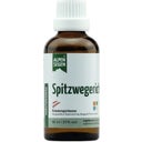 Life Light Alpensegen Spitzwegerich - 50 ml