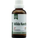 Life Light Alpensegen Wilde Karotte - 50 ml